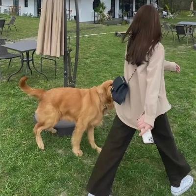 百万圆女孩的眼泪日记